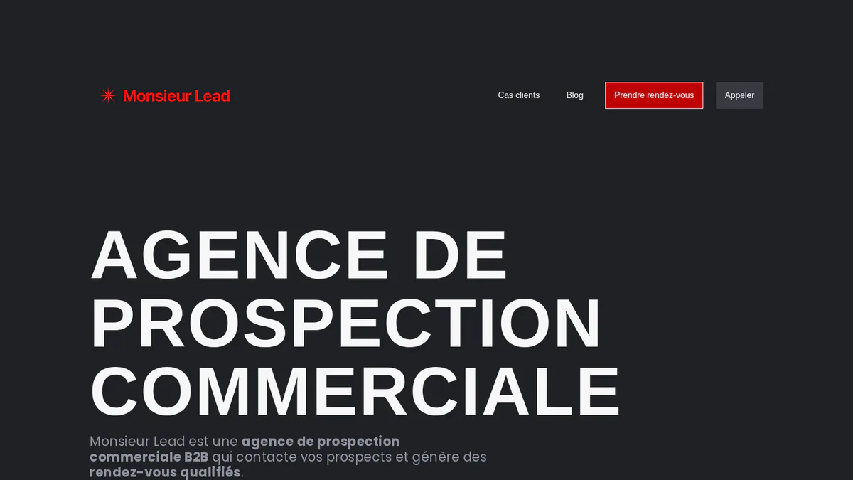 Page d'accueil de Monsieur Lead